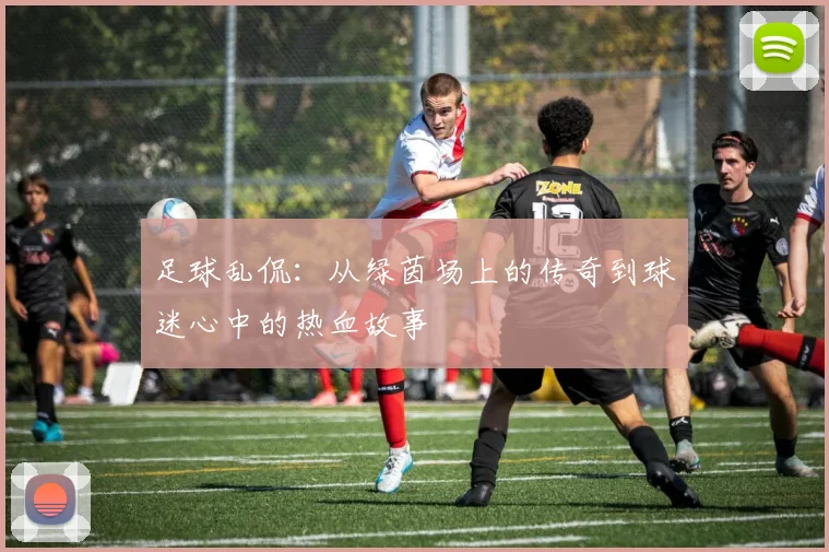足球乱侃：从绿茵场上的传奇到球迷心中的热血故事