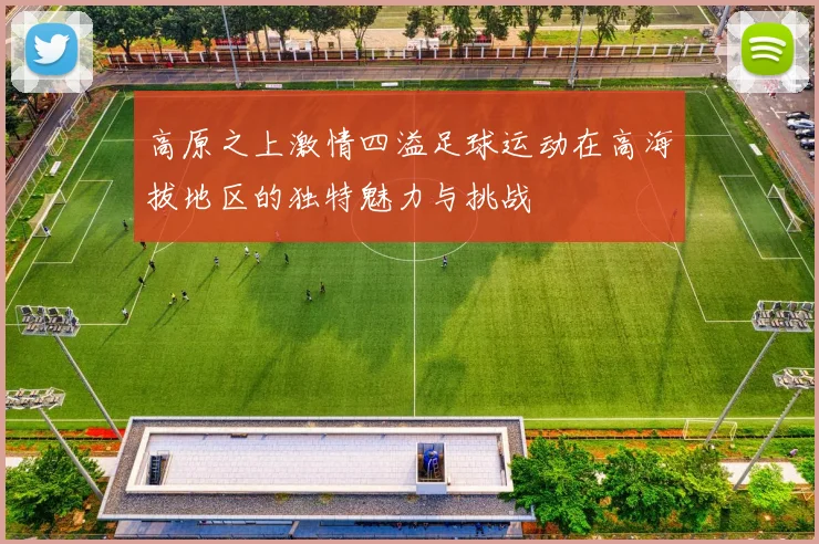 高原之上激情四溢足球运动在高海拔地区的独特魅力与挑战
