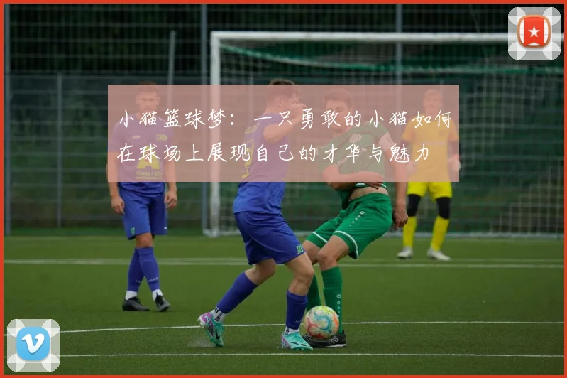 小猫篮球梦：一只勇敢的小猫如何在球场上展现自己的才华与魅力