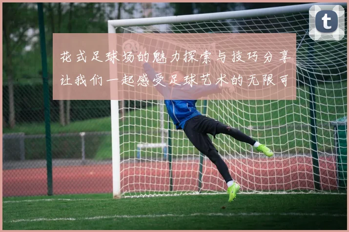 花式足球场的魅力探索与技巧分享让我们一起感受足球艺术的无限可能